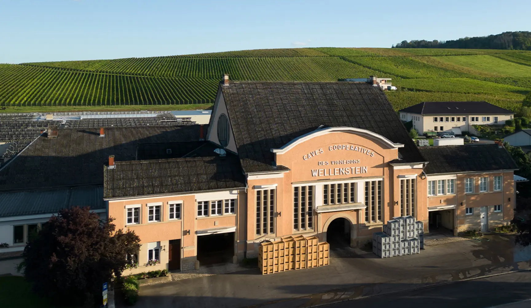 Caves des vignerons