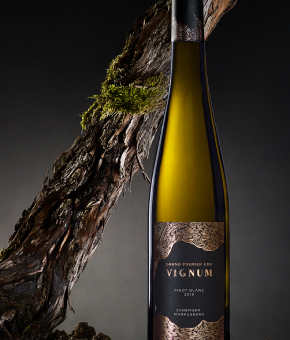 Vignum