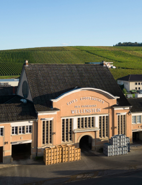 Wellenstein